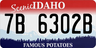 ID license plate 7B6302B