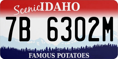 ID license plate 7B6302M