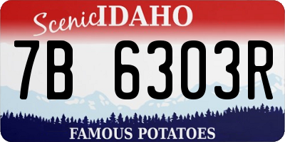 ID license plate 7B6303R