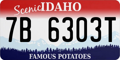 ID license plate 7B6303T