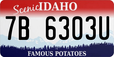 ID license plate 7B6303U