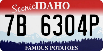 ID license plate 7B6304P