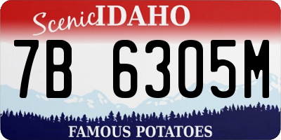 ID license plate 7B6305M