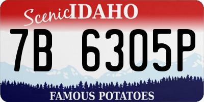 ID license plate 7B6305P