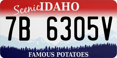 ID license plate 7B6305V