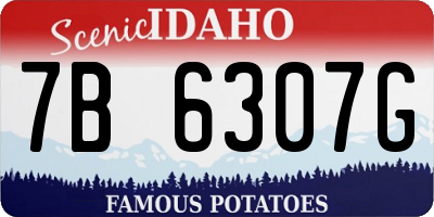 ID license plate 7B6307G