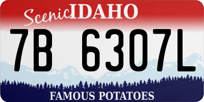 ID license plate 7B6307L