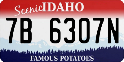 ID license plate 7B6307N