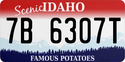 ID license plate 7B6307T