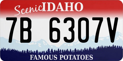 ID license plate 7B6307V
