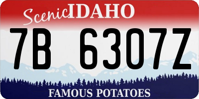 ID license plate 7B6307Z