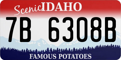 ID license plate 7B6308B