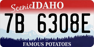 ID license plate 7B6308E