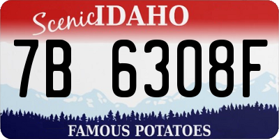 ID license plate 7B6308F