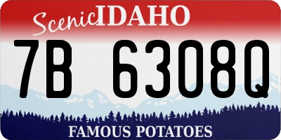 ID license plate 7B6308Q