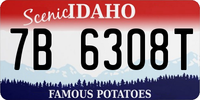 ID license plate 7B6308T