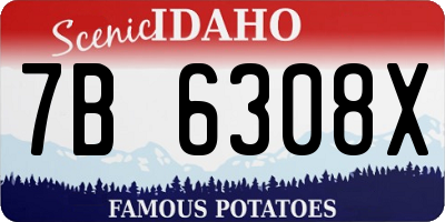 ID license plate 7B6308X