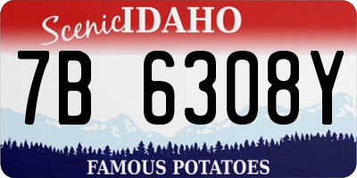 ID license plate 7B6308Y