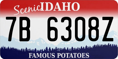 ID license plate 7B6308Z