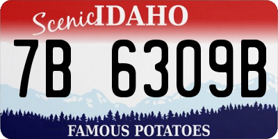 ID license plate 7B6309B