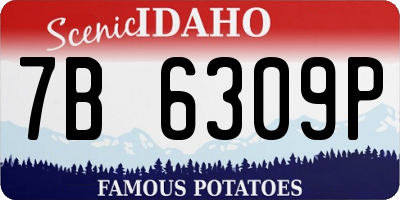 ID license plate 7B6309P