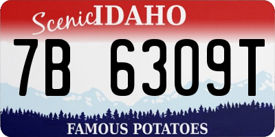 ID license plate 7B6309T