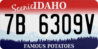 ID license plate 7B6309V