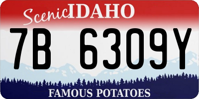 ID license plate 7B6309Y