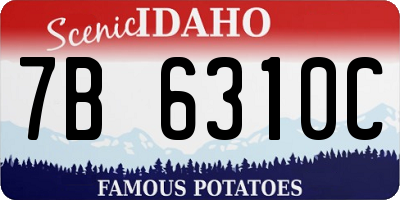 ID license plate 7B6310C