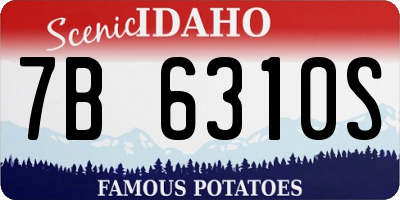 ID license plate 7B6310S