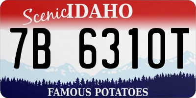 ID license plate 7B6310T