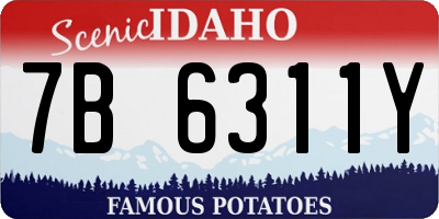 ID license plate 7B6311Y