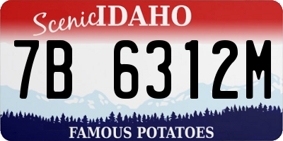ID license plate 7B6312M