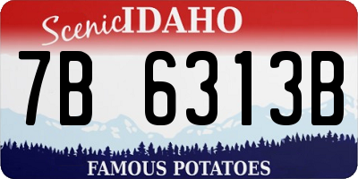 ID license plate 7B6313B