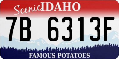 ID license plate 7B6313F