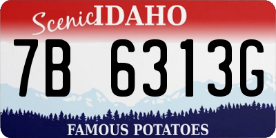 ID license plate 7B6313G