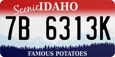 ID license plate 7B6313K
