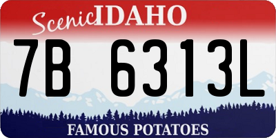 ID license plate 7B6313L