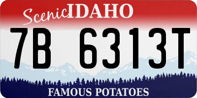 ID license plate 7B6313T