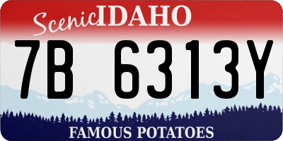 ID license plate 7B6313Y
