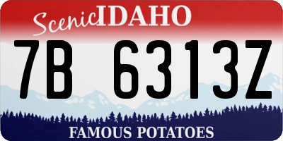 ID license plate 7B6313Z