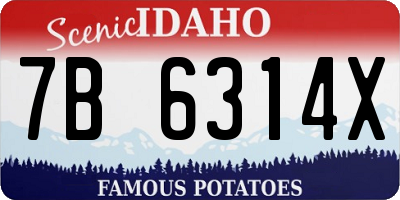 ID license plate 7B6314X