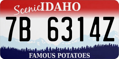 ID license plate 7B6314Z