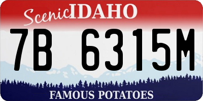 ID license plate 7B6315M