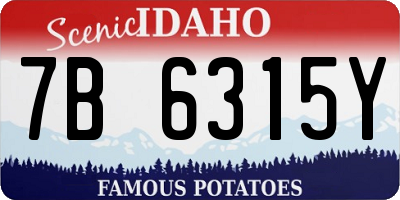 ID license plate 7B6315Y