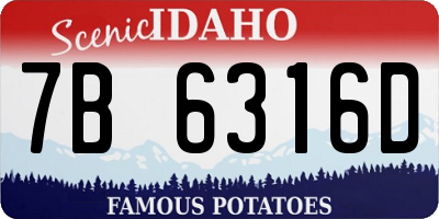 ID license plate 7B6316D