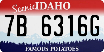 ID license plate 7B6316G