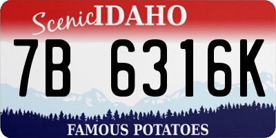 ID license plate 7B6316K