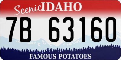 ID license plate 7B6316O