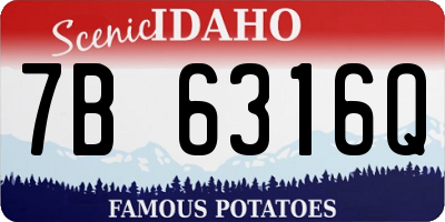 ID license plate 7B6316Q
